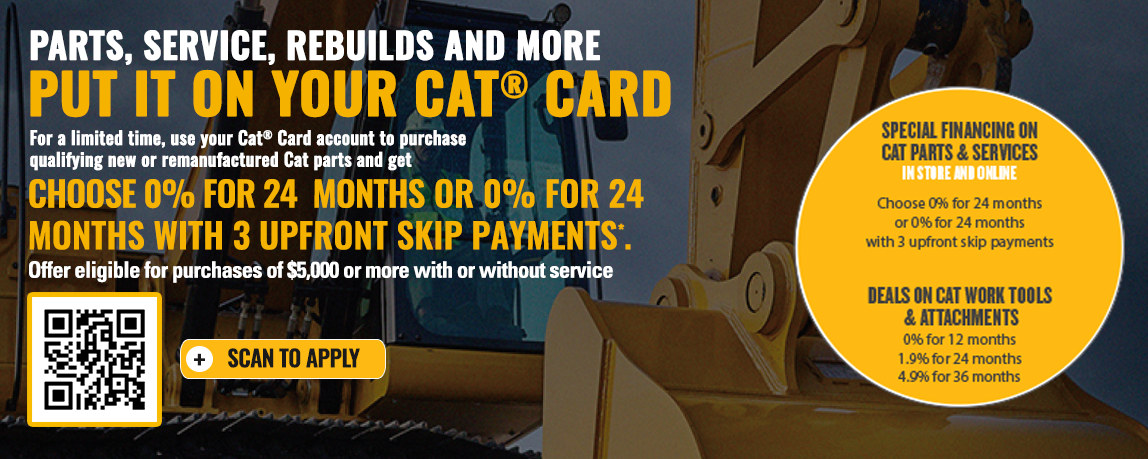 Cat Card Deal